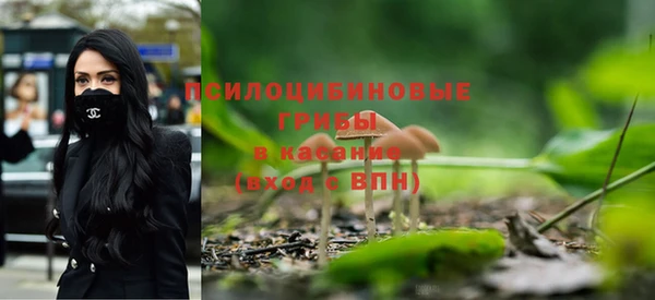 твердый Алексин