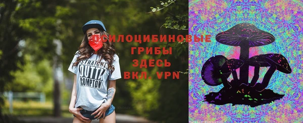 прущая мука Абаза