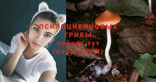дживик Алзамай