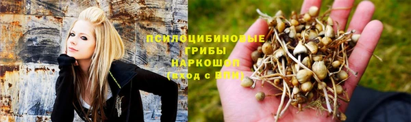 твердый Алексин