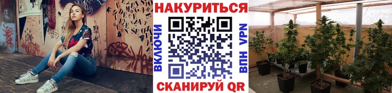 Шишки марихуана ГИДРОПОН  купить наркоту  darknet Telegram  Магнитогорск 